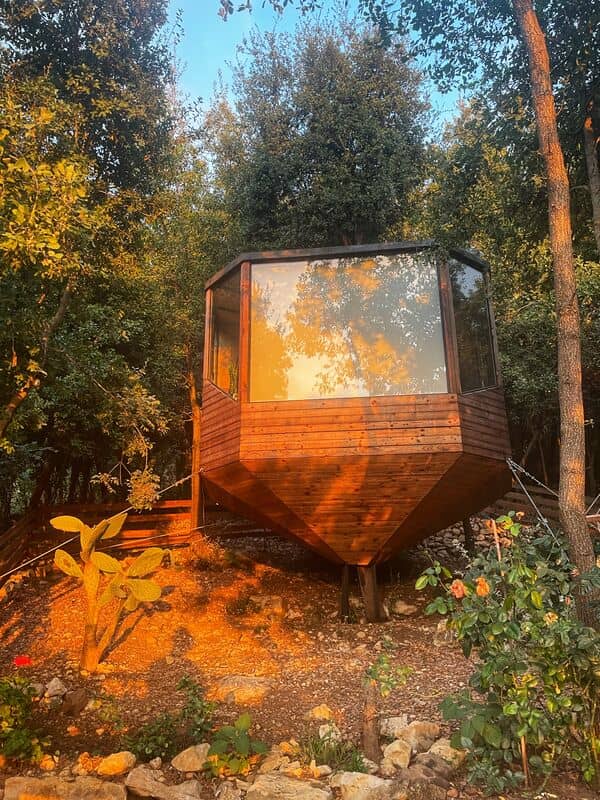 Tree house in Hemlaya
