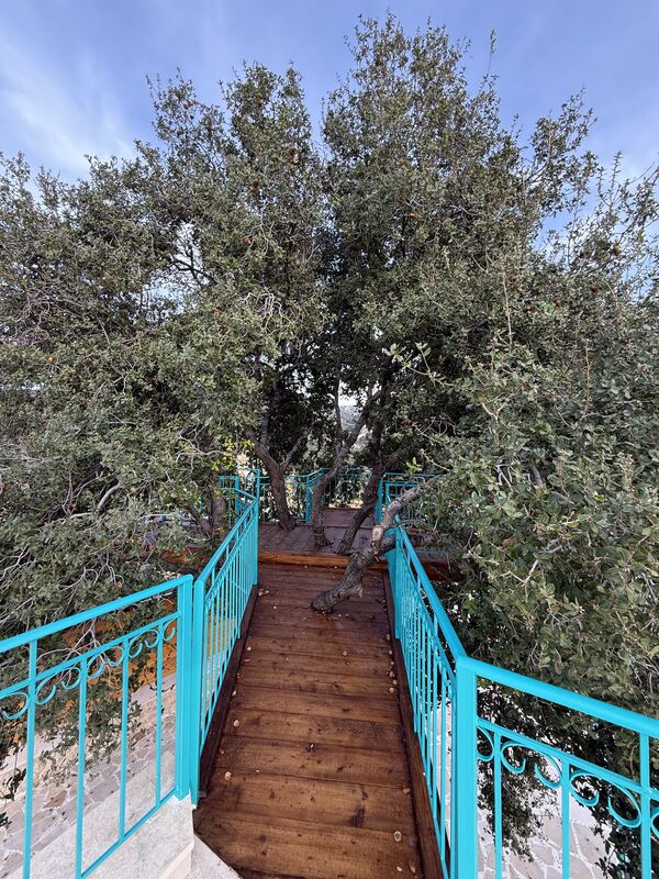 Chalet in Sghar, Batroun – photo 5